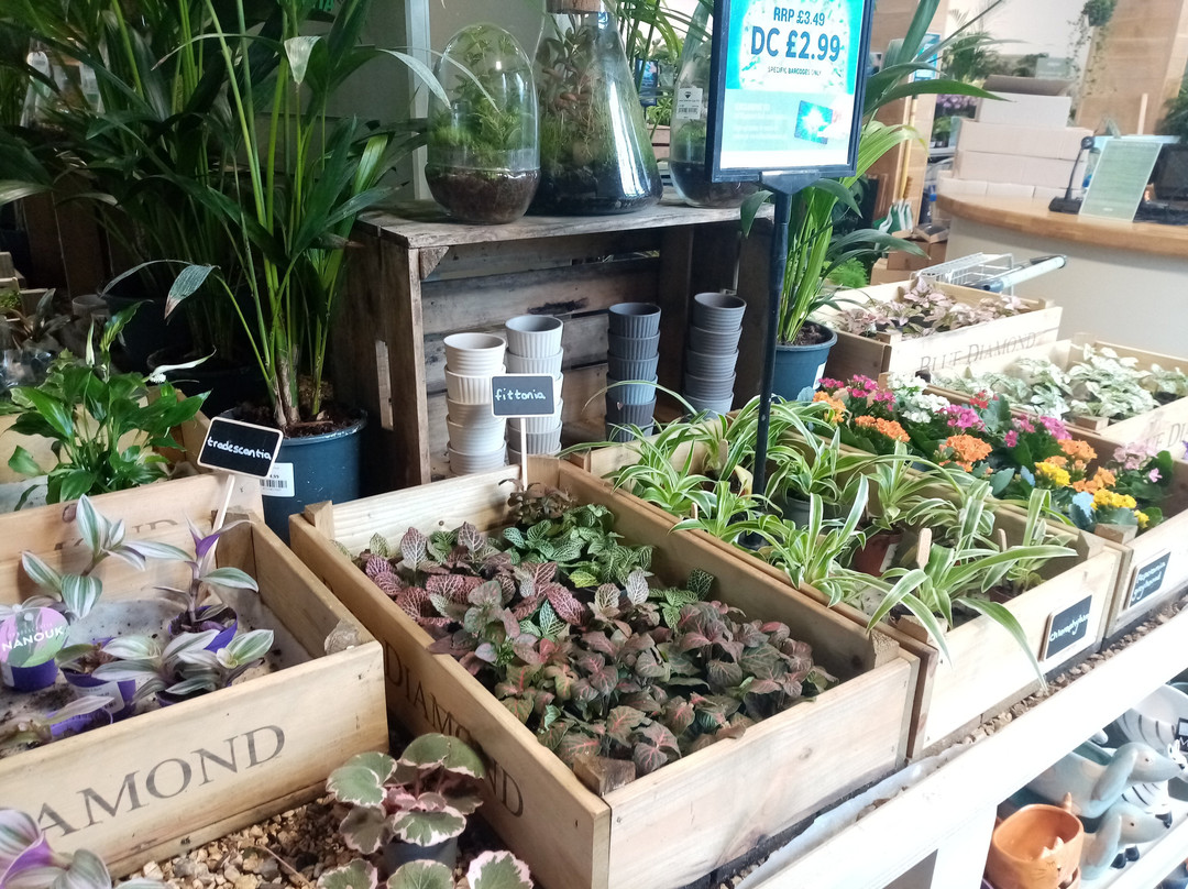 Blackdown Garden Centre,-惠灵顿必去景点