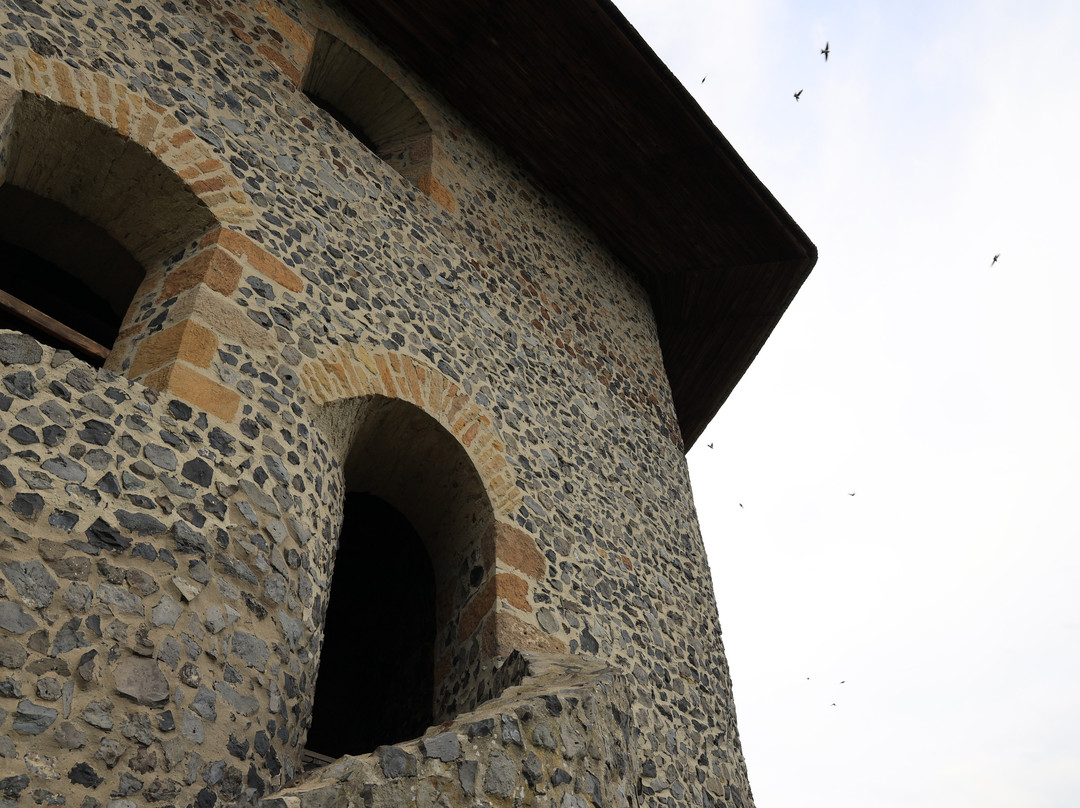 Castle/ Hrad Somoska景点图片
