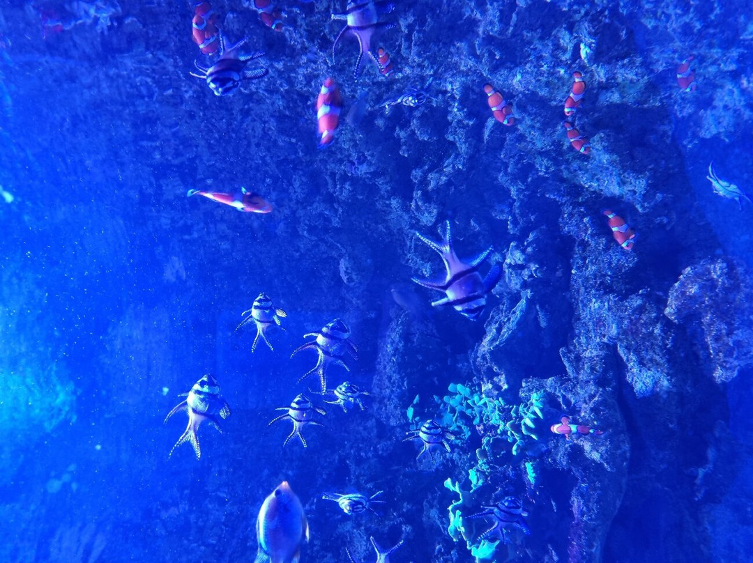 SEA LIFE Konstanz-康士坦茨必去景点