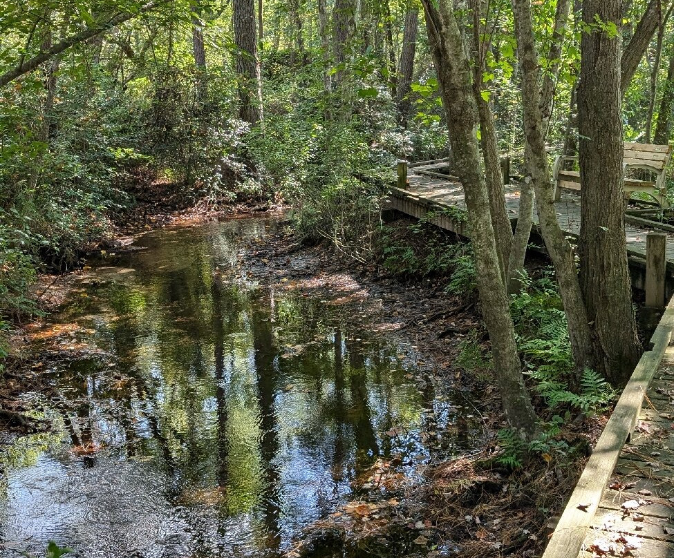 Abbott's Mill Nature Center-Milford必去景点