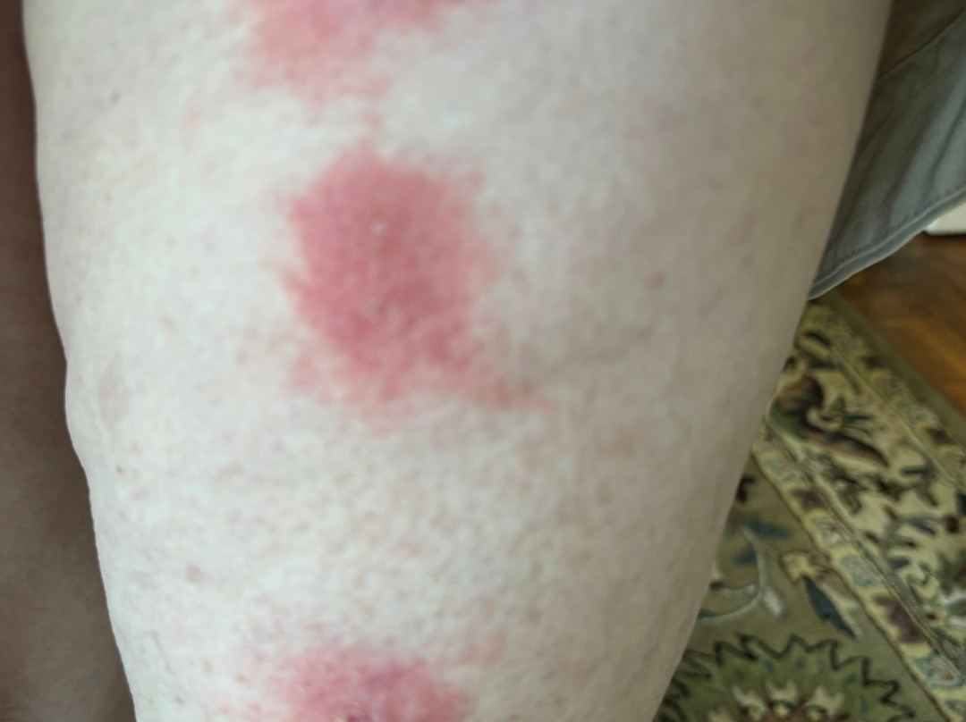 Best Western Port Huron Blue Water Bridge主图