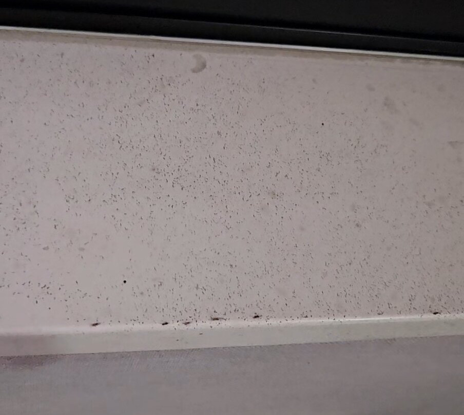 Hampton Inn Carlsbad-North San Diego County主图