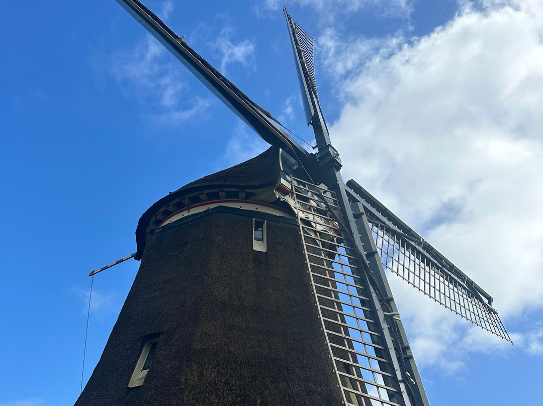Dutch Tours and Transfers景点图片