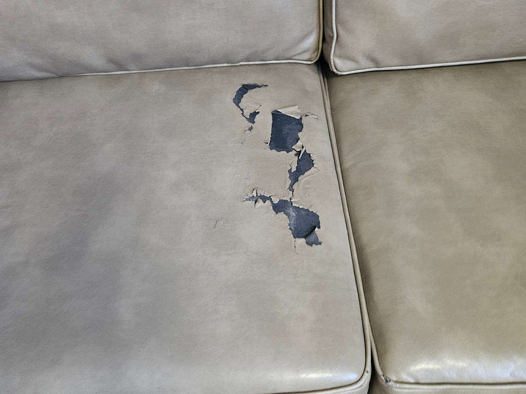 Shilo Inns Warrenton主图