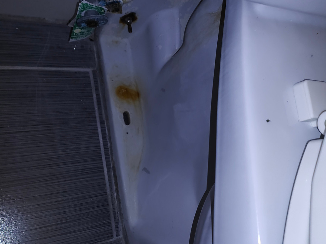 SureStay By Best Western Jacksonville South主图