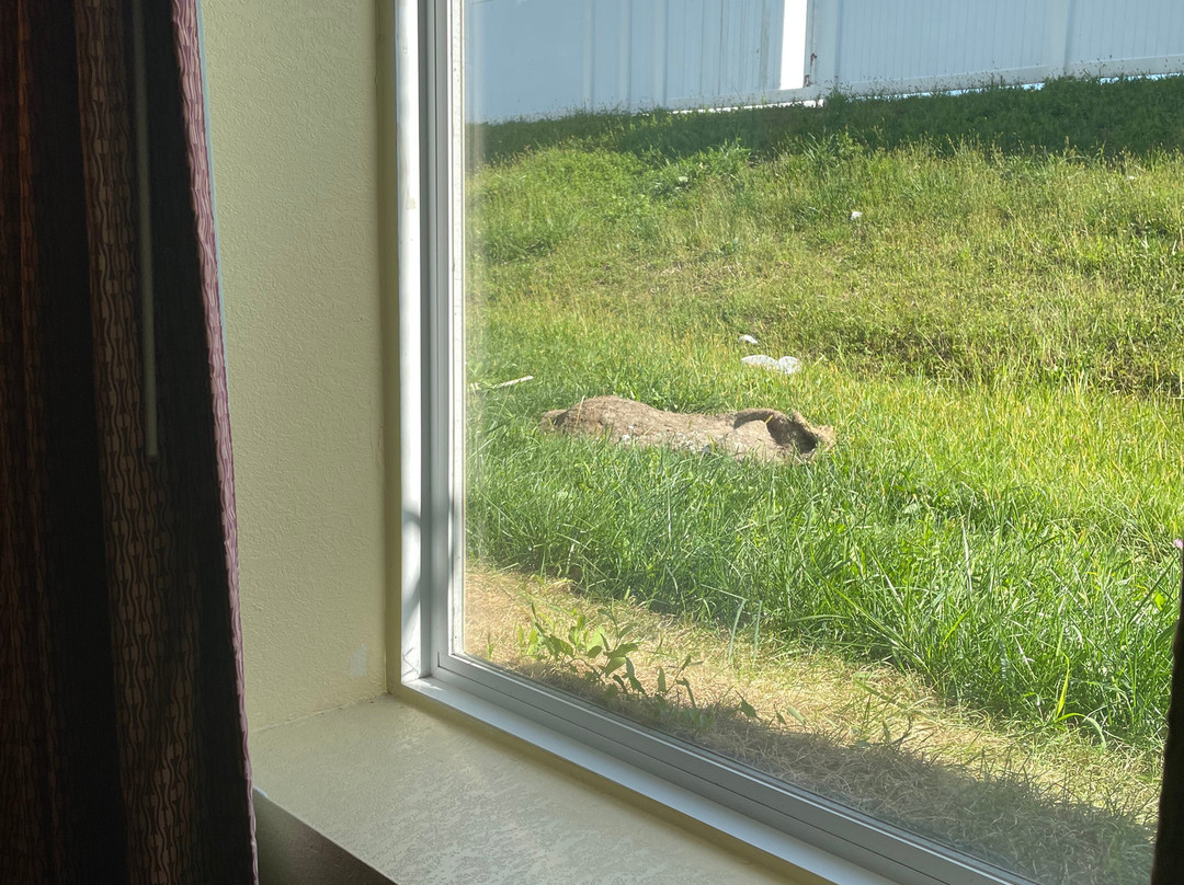 Days Inn by Wyndham Aberdeen主图