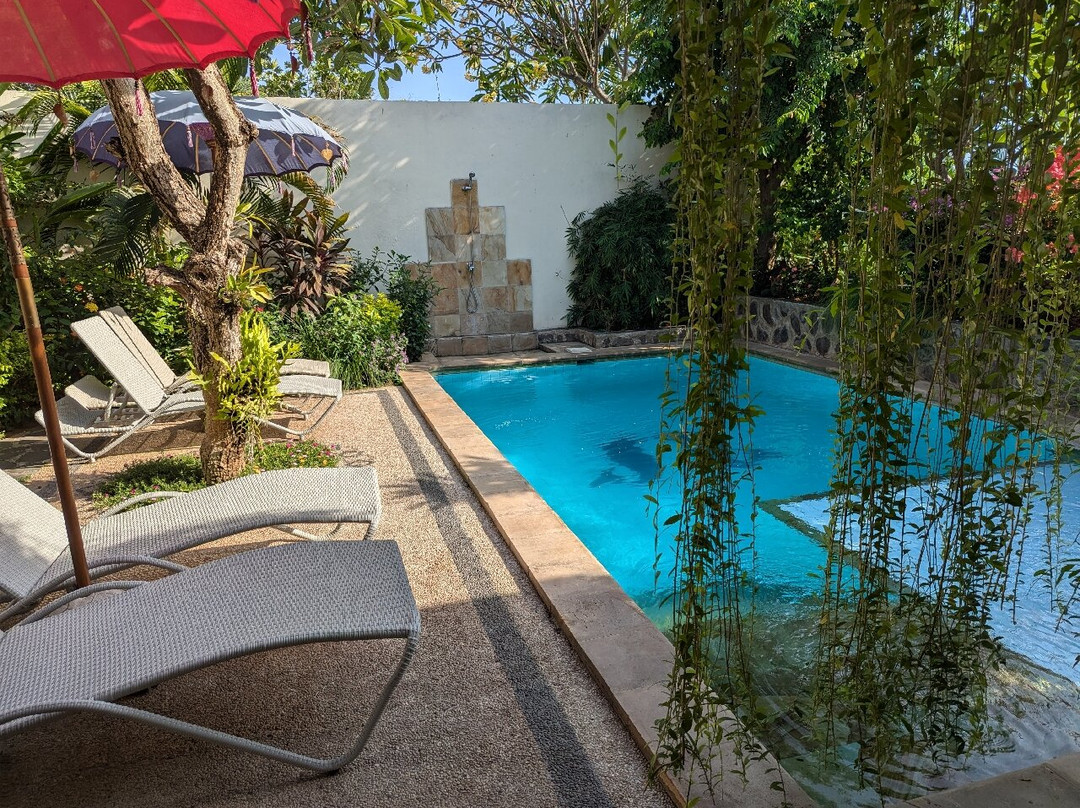 Villa Lumbalumba Lovina Bali主图