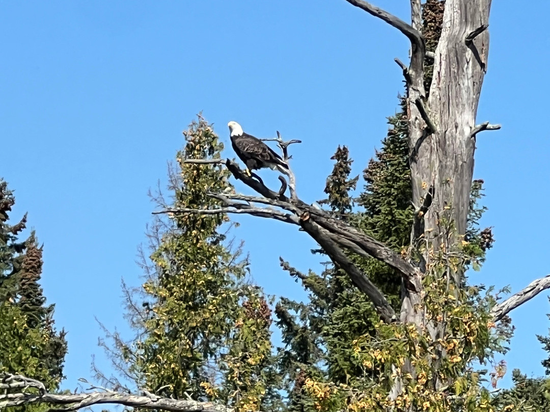 Big Narrows Resort主图