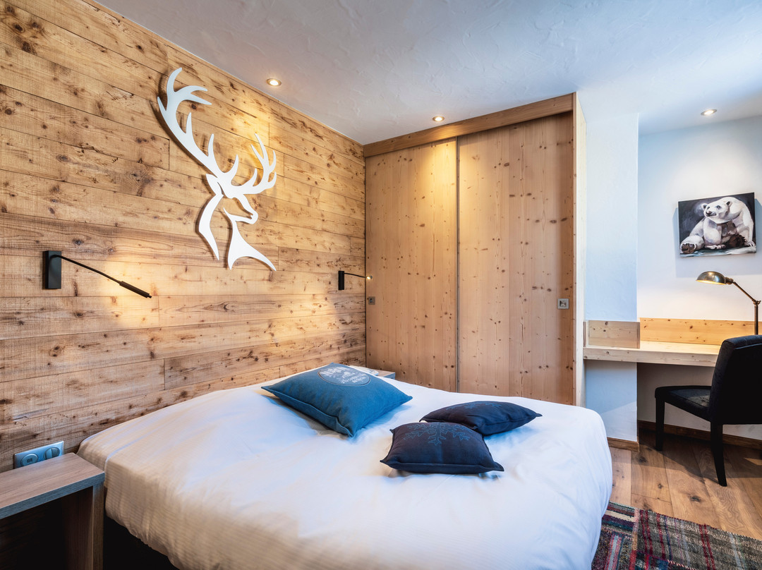 Hôtel Les Mélèzes***主图