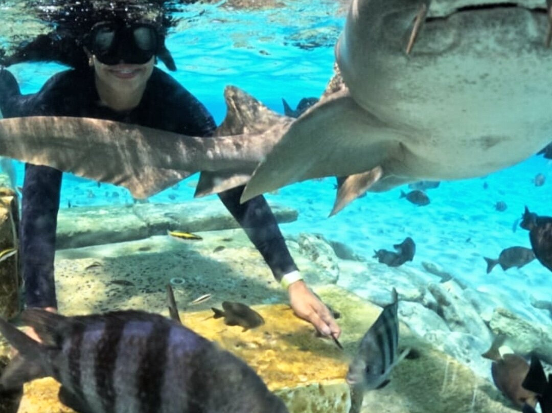 Cayo Acuario-圣安德烈斯岛必去景点