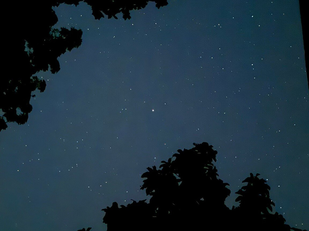 Hotel Rhino Land主图