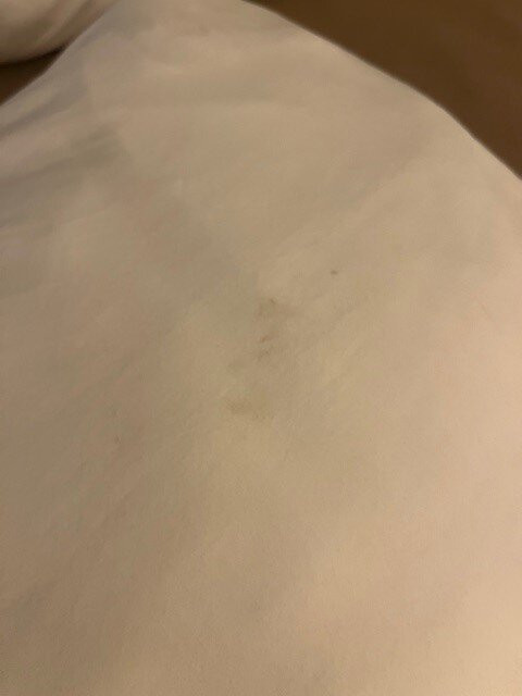 Super 8 by Wyndham Waynesboro主图