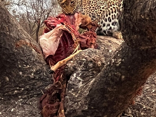 Manhantele Transfer & Tours-尼斯普鲁特必去景点