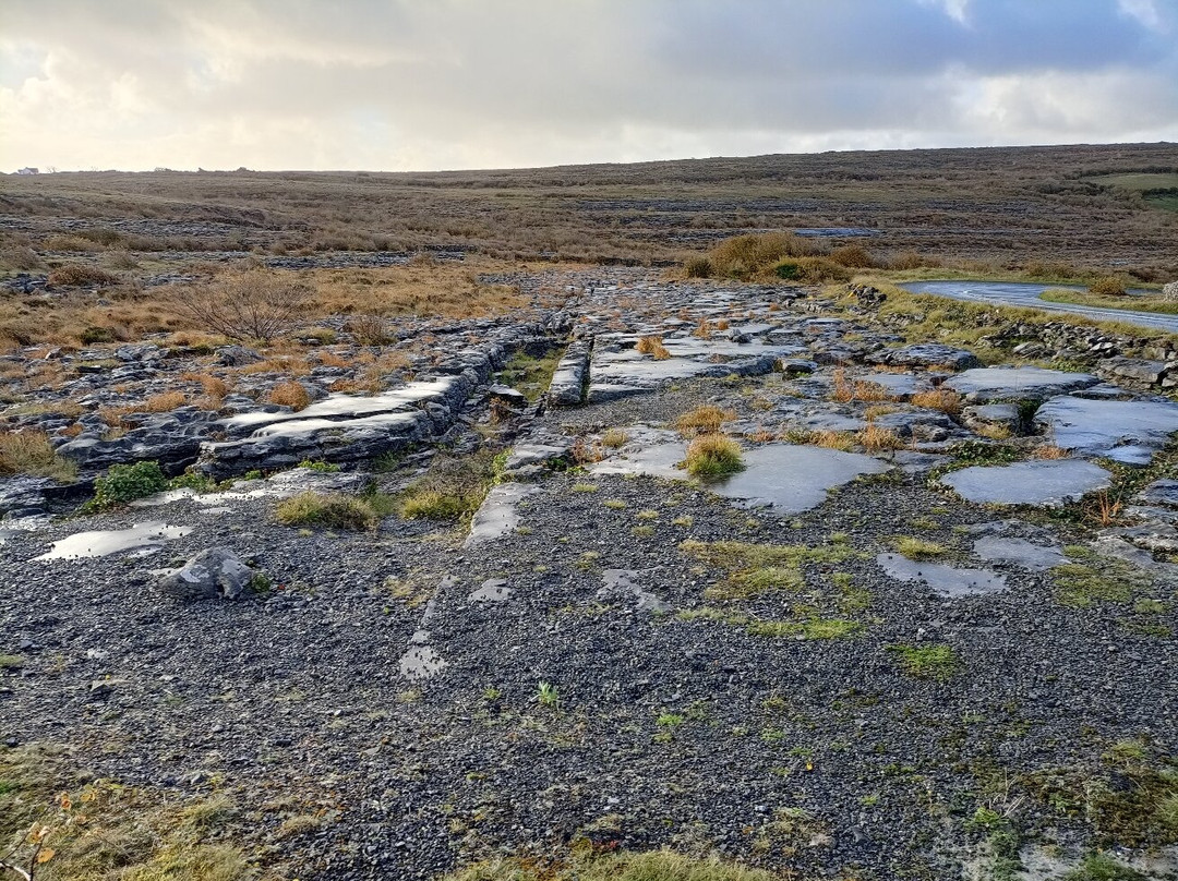 The Burren National Park景点图片