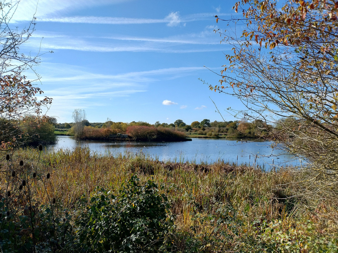 Nene Park景点图片