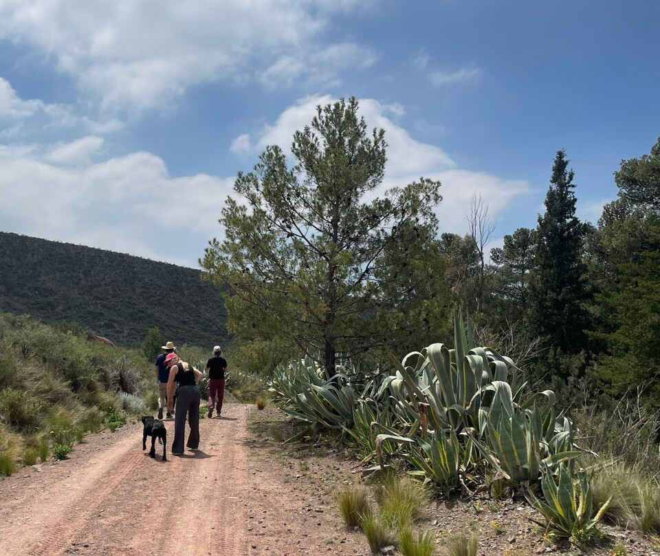 San Ignacio Estancia Andina主图