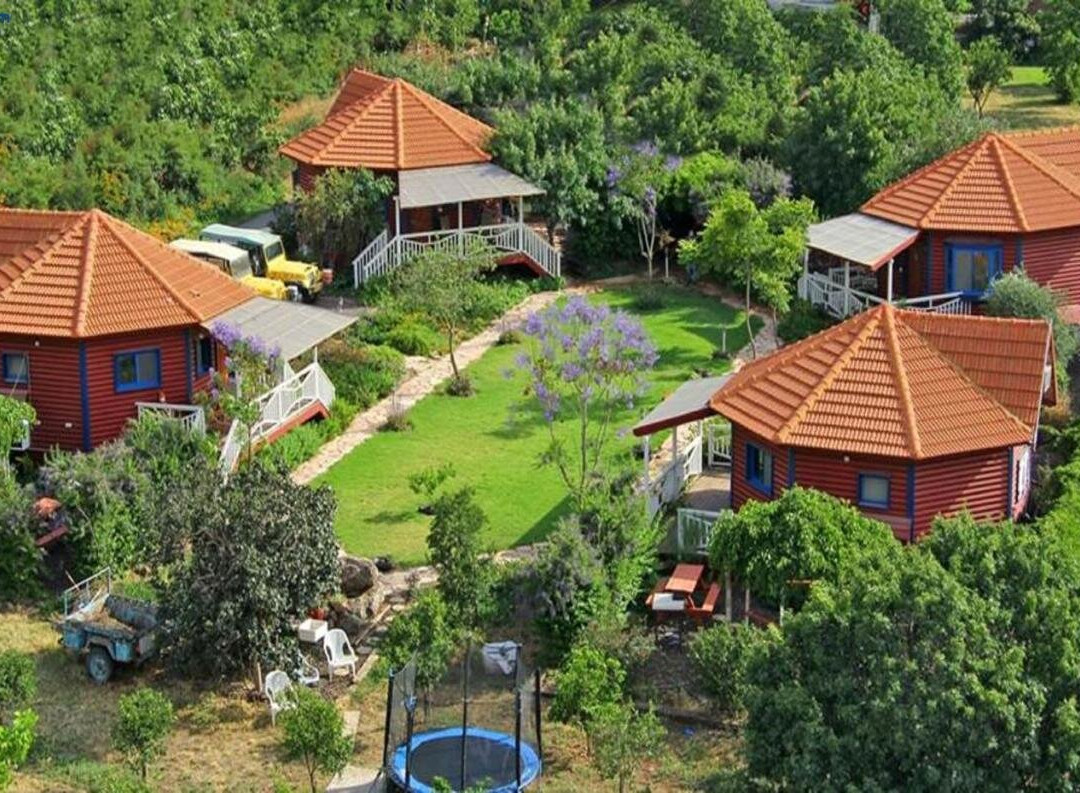 Cabin on the hill