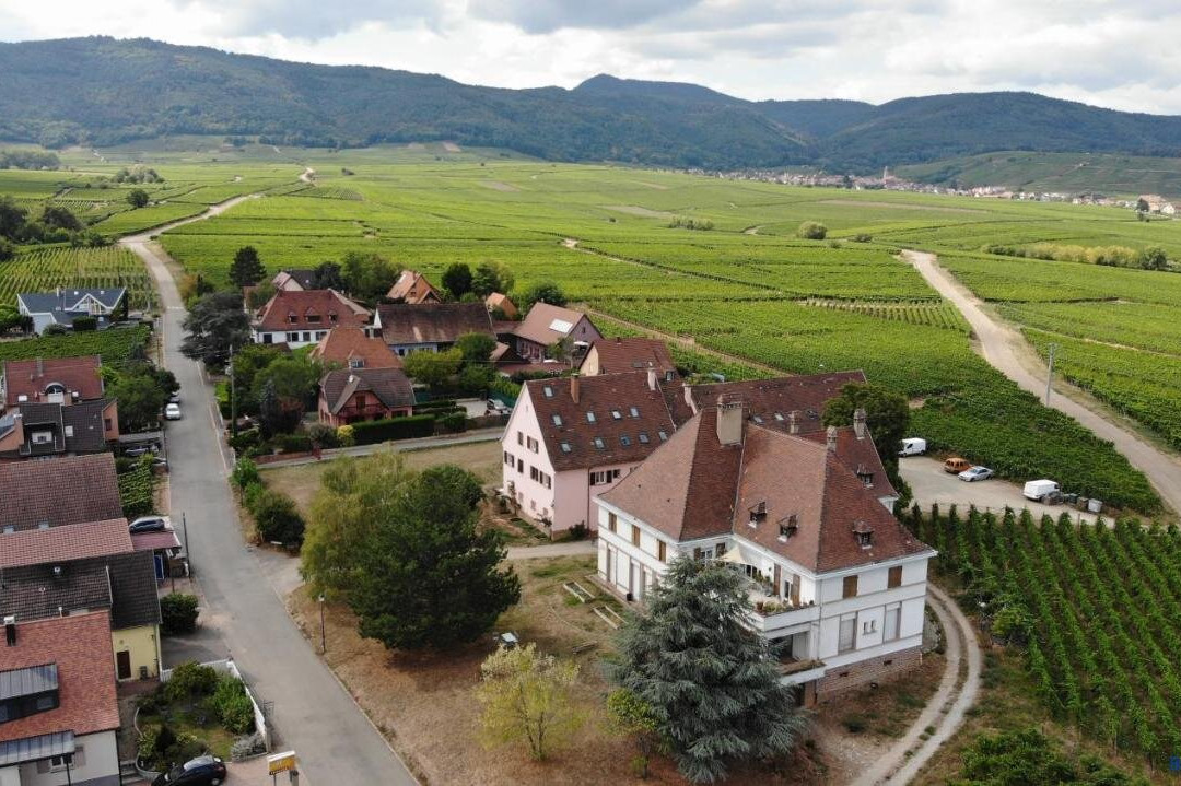 Gîtes au Domaine Greiner