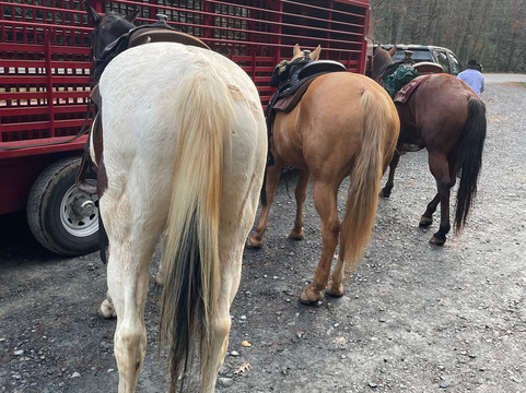 Blowing Rock Trail Rides-布洛英罗克必去景点