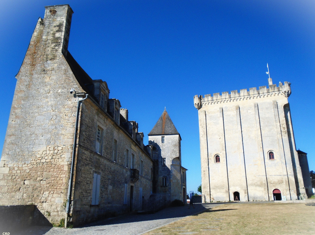 Le Donjon Médiéval景点图片
