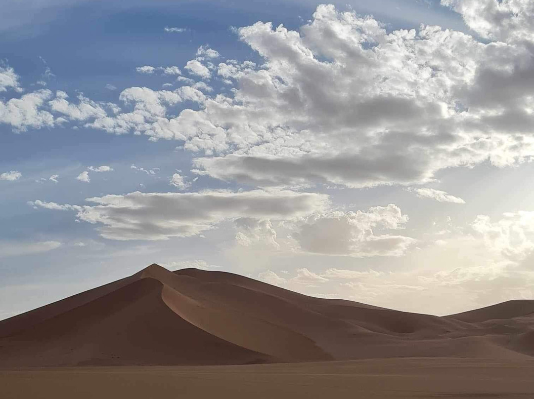 Sahara Africa Tours景点图片