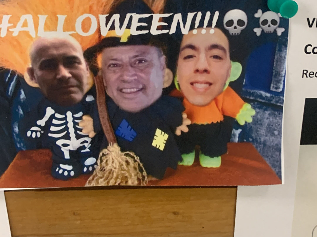 Complejo Costa Alta主图