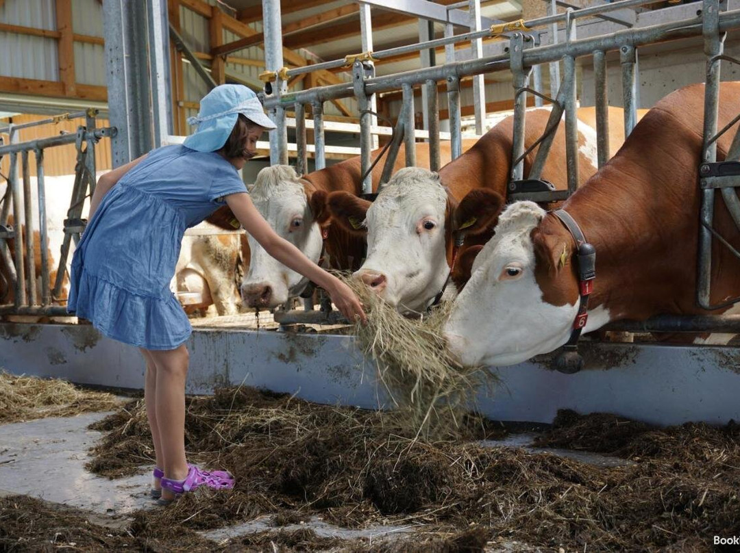 Baby-und Kinderbauernhof Salmanner主图