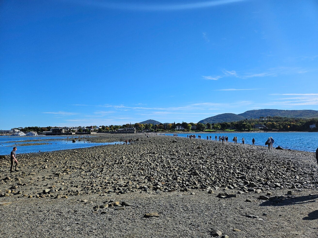 Bar Island Trail-巴港必去景点