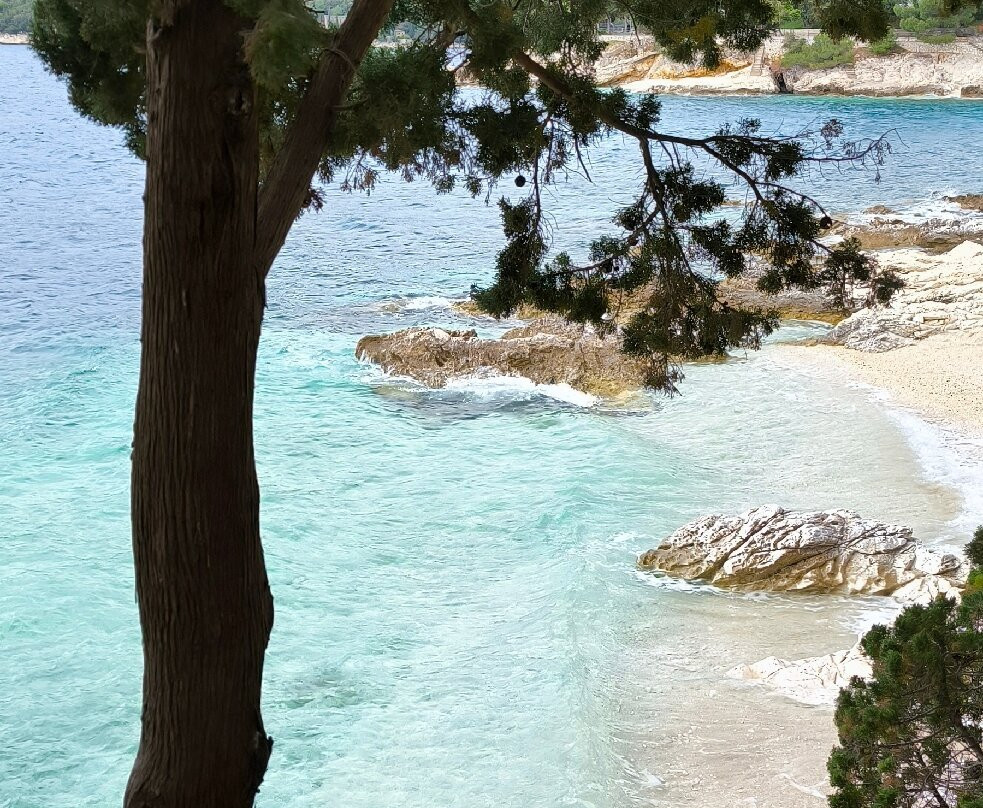 Rabac (porto Albona)-拉宾必去景点