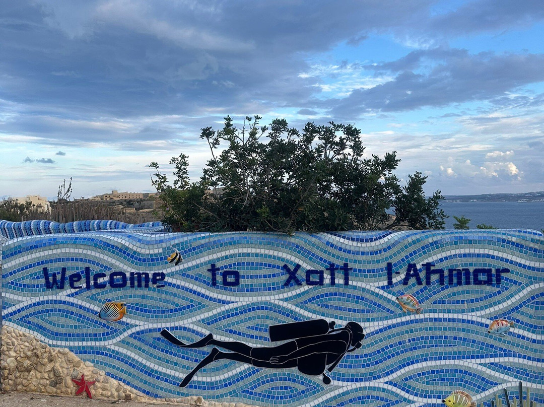 Extra Divers Gozo-姆贾尔必去景点