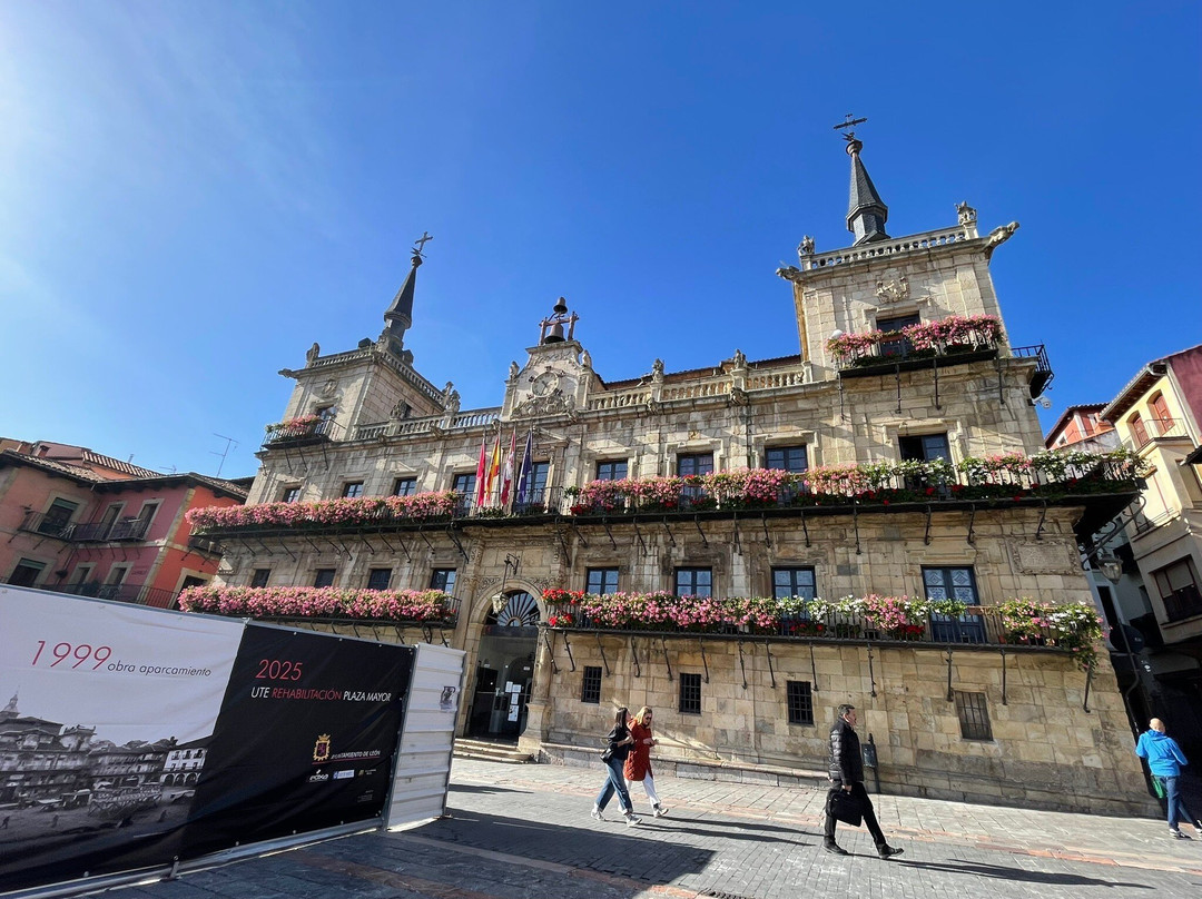 Mercadillo De Frutas Y Alimentos景点图片