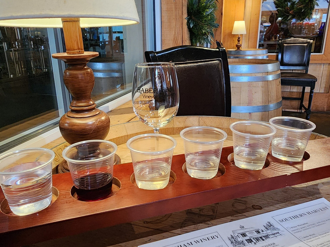 Habersham Vineyards & Winery-海伦必去景点