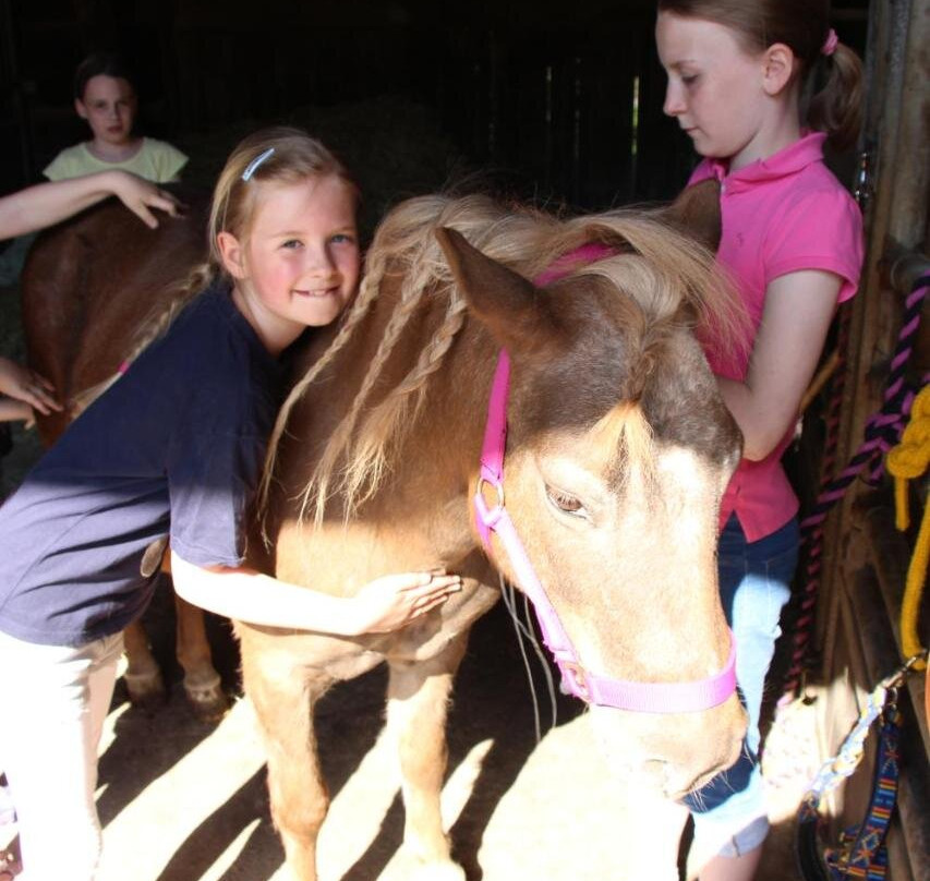 Pony-Und Ferienhof Gut Habbecke
