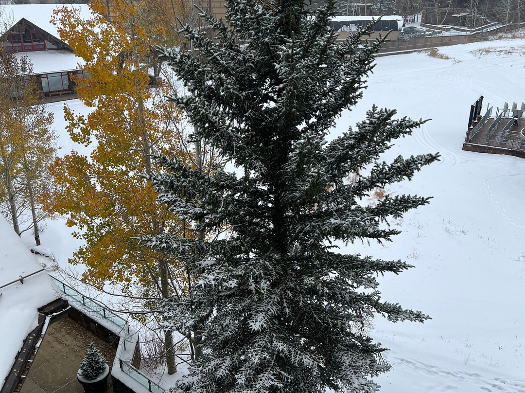 杰克逊霍尔四季度假村酒店主图