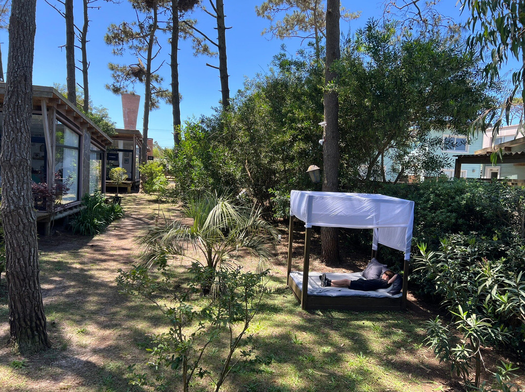 Bella Bungalows主图