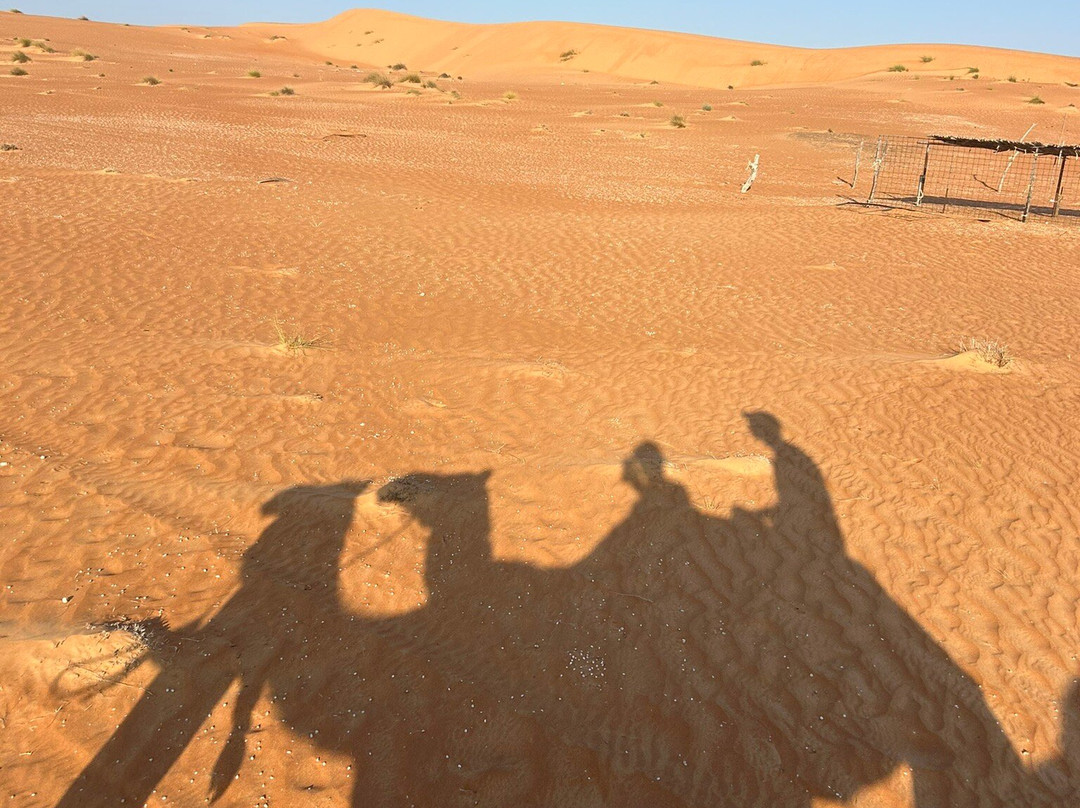 Bediyah Safari Tours景点图片