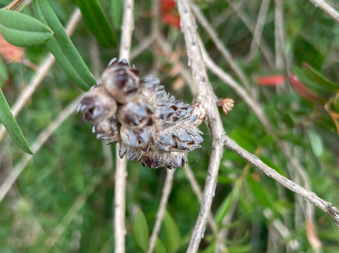 St Andrew's Uniting Church-Riddells Creek必去景点
