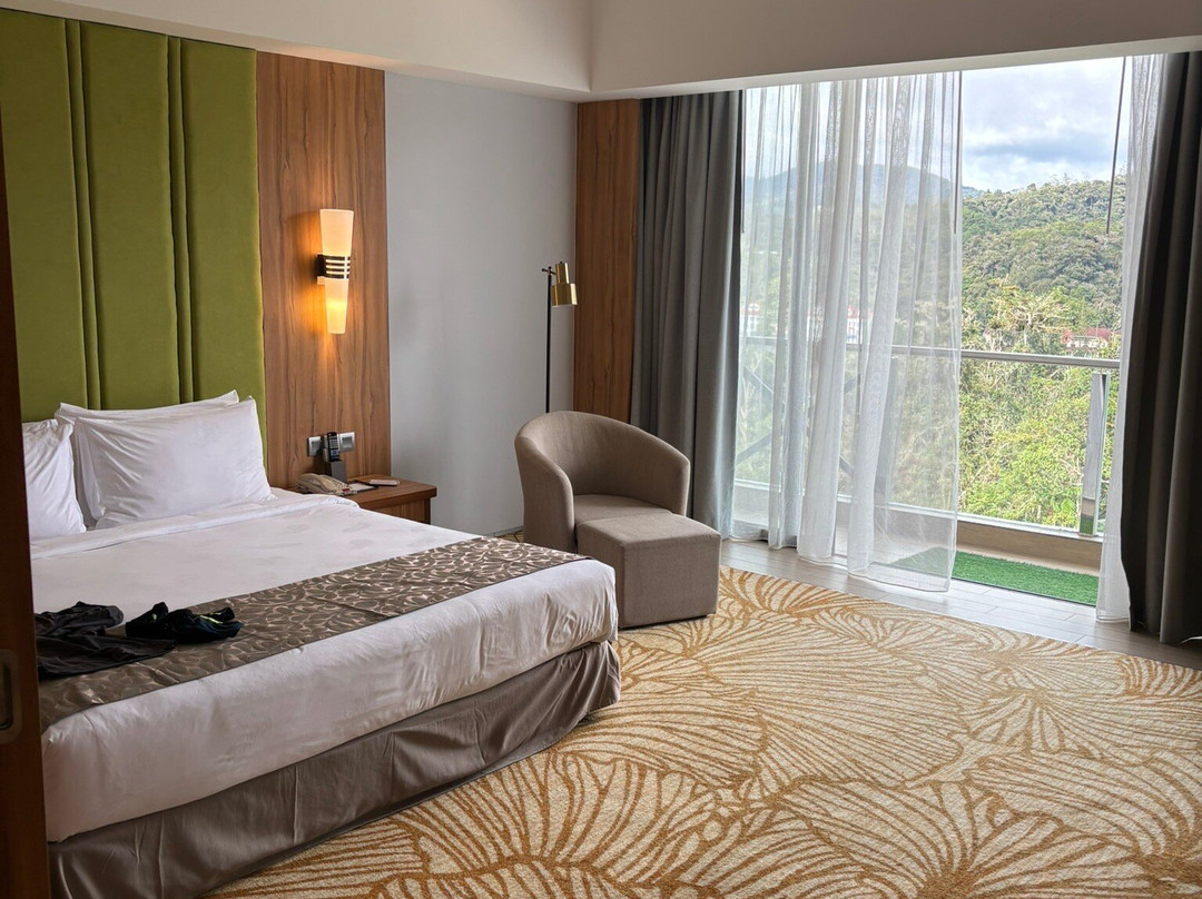 Zenith Hotel Cameron主图