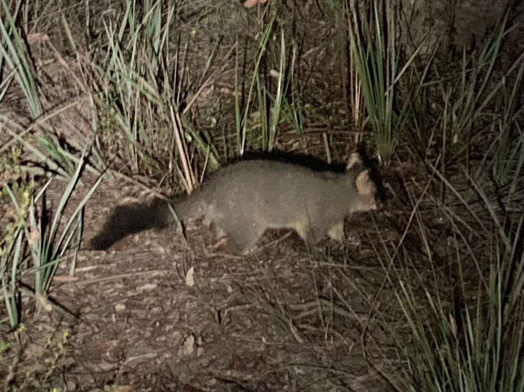 Dunns Swamp-马奇必去景点