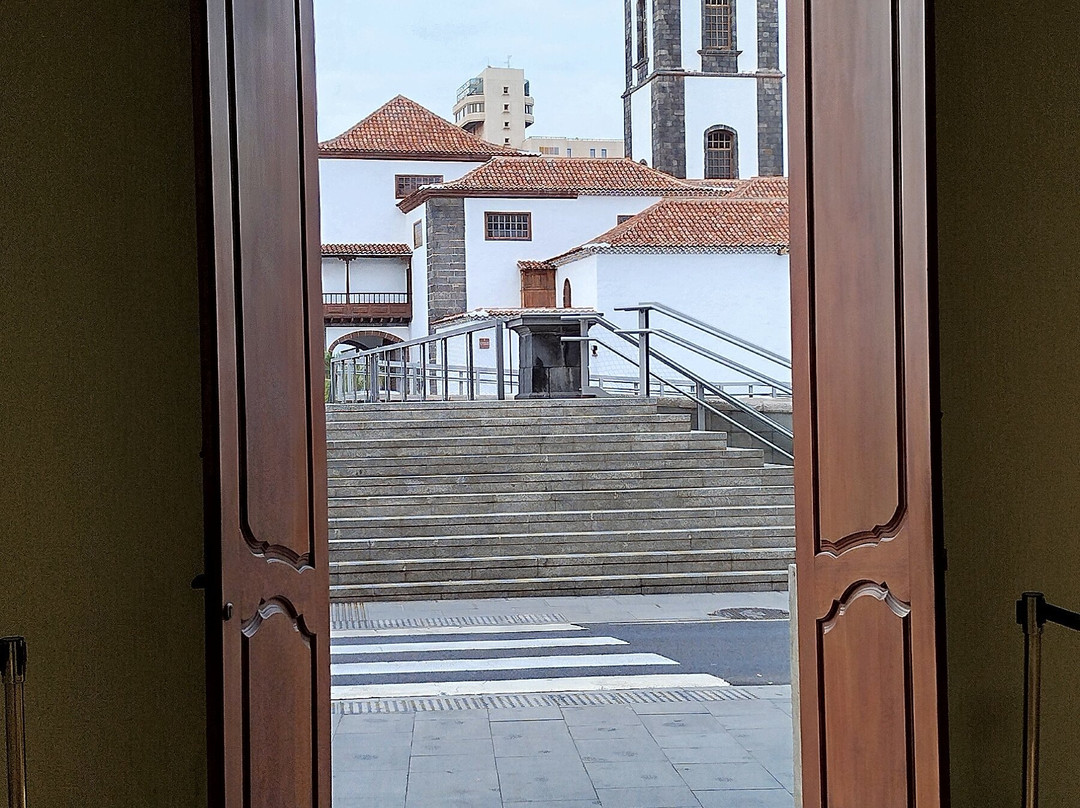 Museo de Naturaleza y Arqueologia景点图片