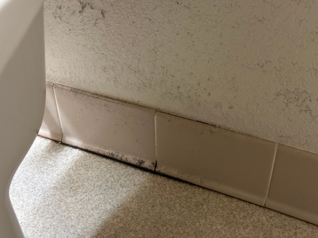 Wautoma Inn By Oyo Near Airport Wi 73主图