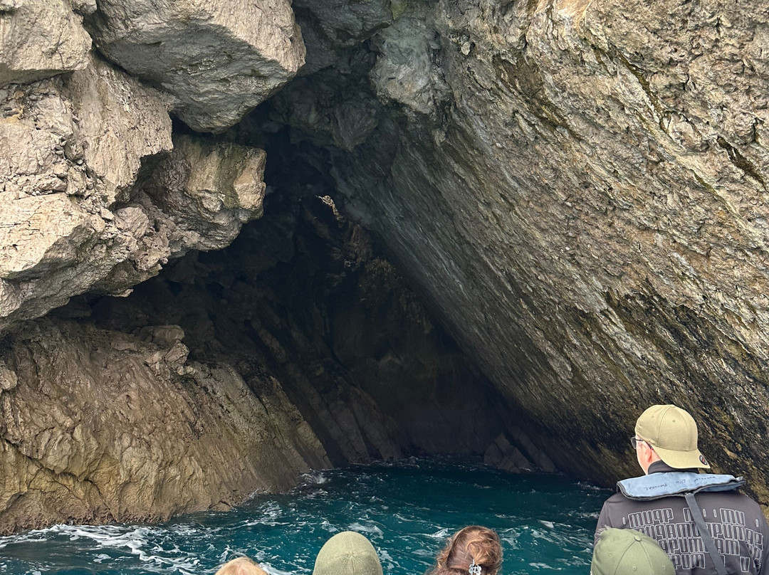 Arrábida Life-塞新布拉必去景点