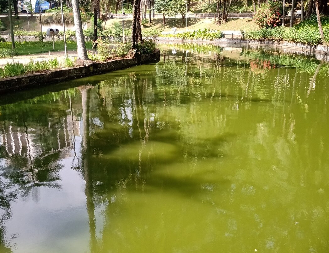 Americo Renee Giannetti Municipal Park-贝洛哈里桑塔必去景点