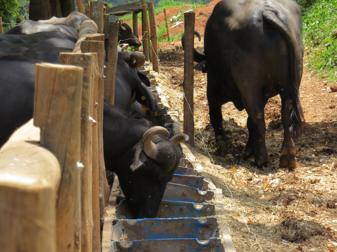 Perola da Serra-Itanhandu必去景点
