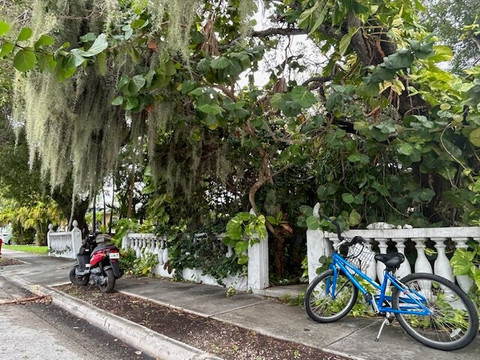 Eaton Bikes-基韦斯特必去景点