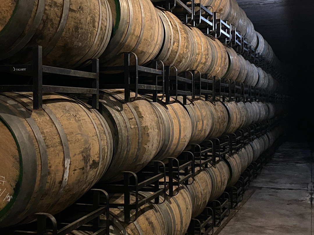 Bodegas Urbina景点图片