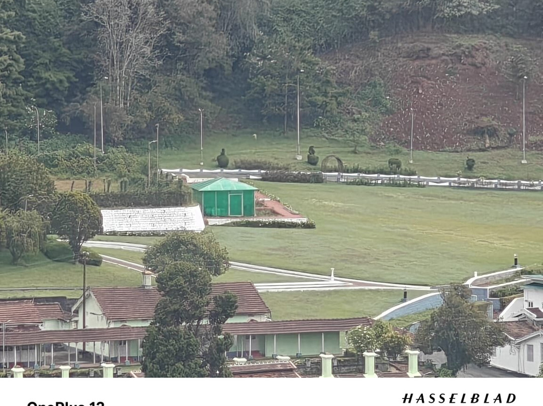 Hotel Gem Park Ooty主图