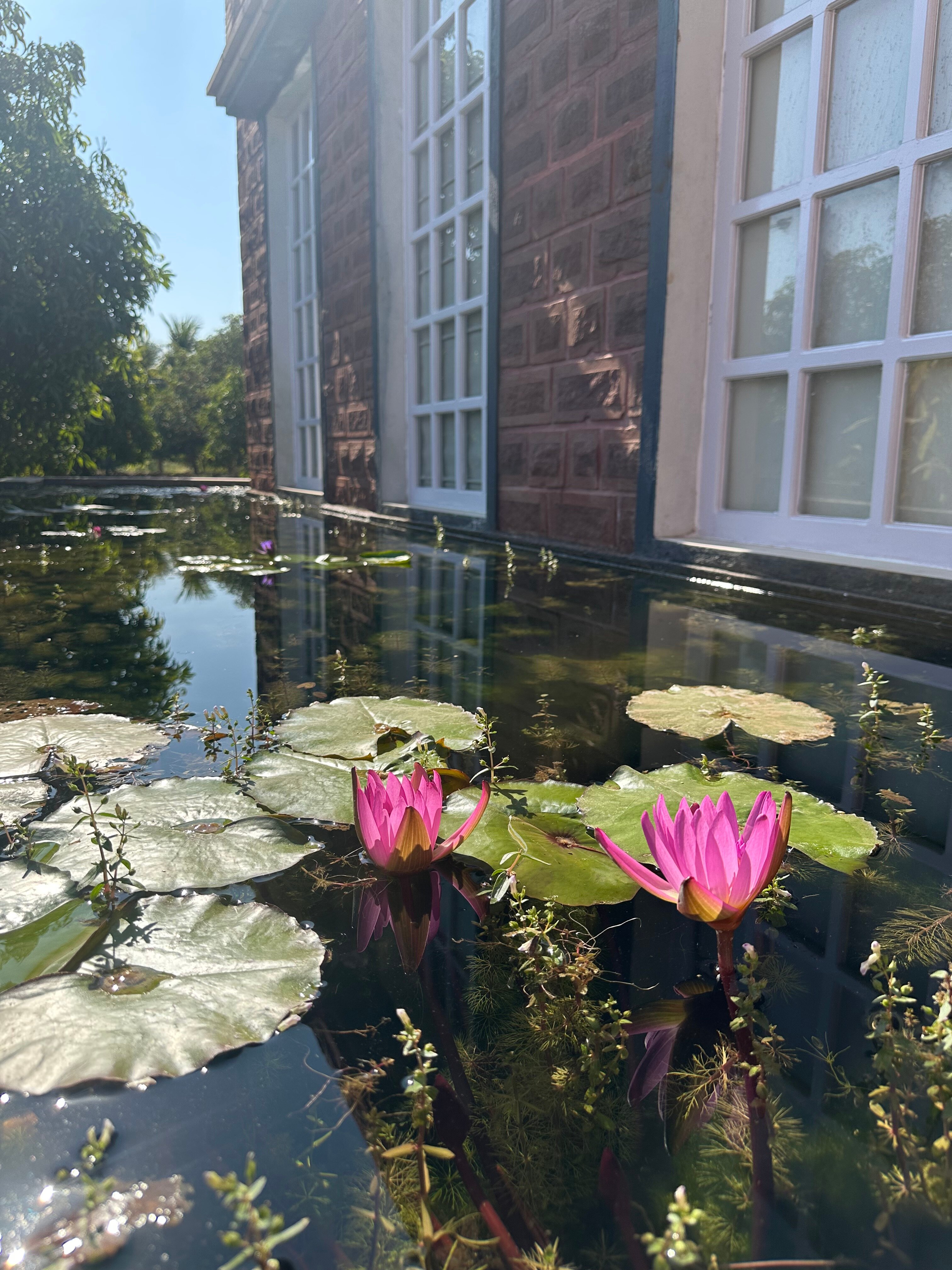 The Postcard Gir Wildlife Sanctuary-浴室