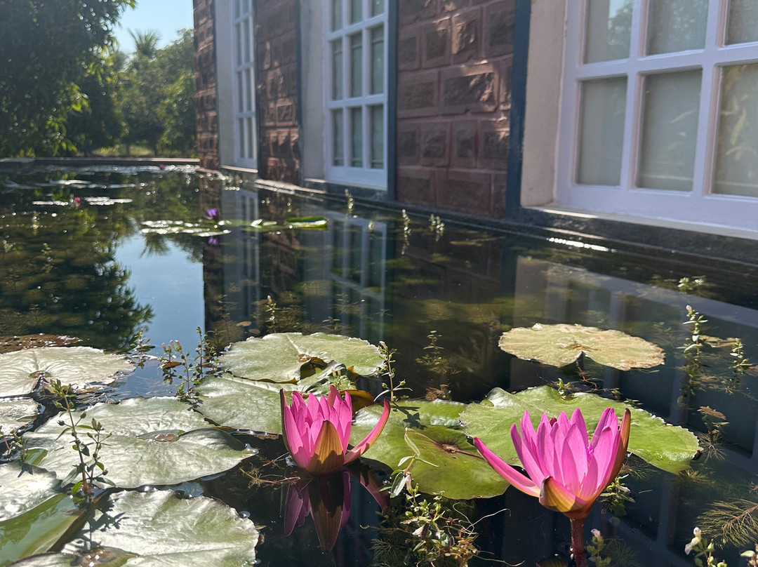 The Postcard Gir Wildlife Sanctuary主图