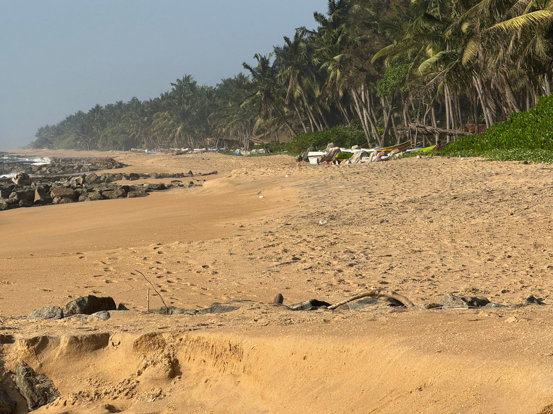 Adiques's Resorts
